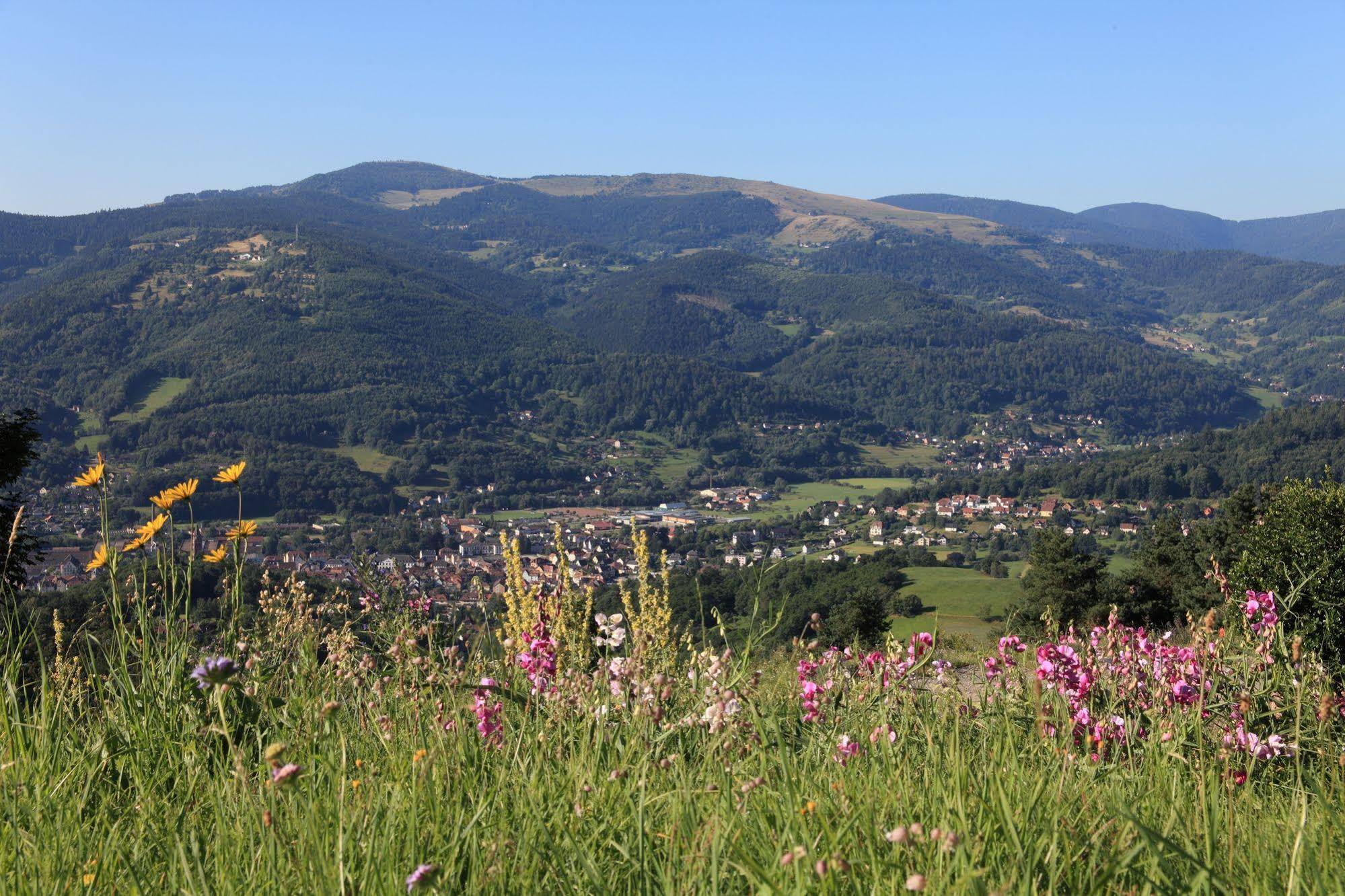 Logis Hôtel Panorama