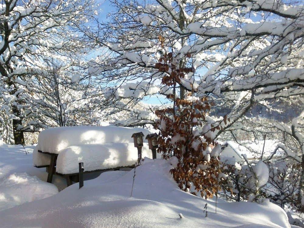 Chambres et Table d'Hôtes Le Chalet du Seu