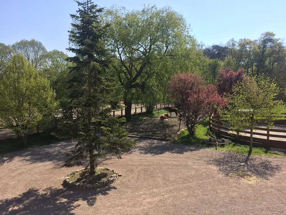 Ecurie De La Fourasse