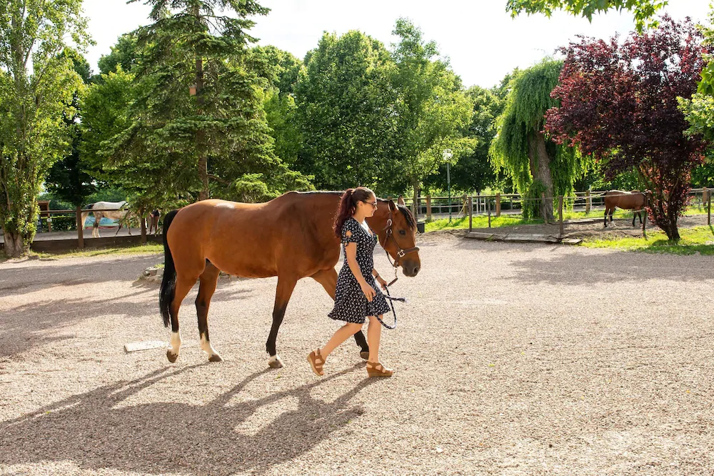 Ecurie De La Fourasse