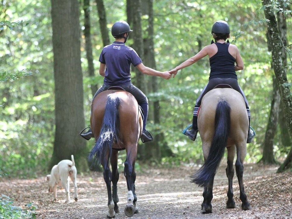 Ecurie De La Fourasse