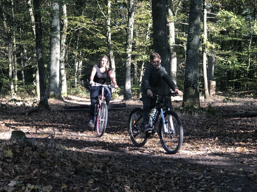 Ecurie De La Fourasse