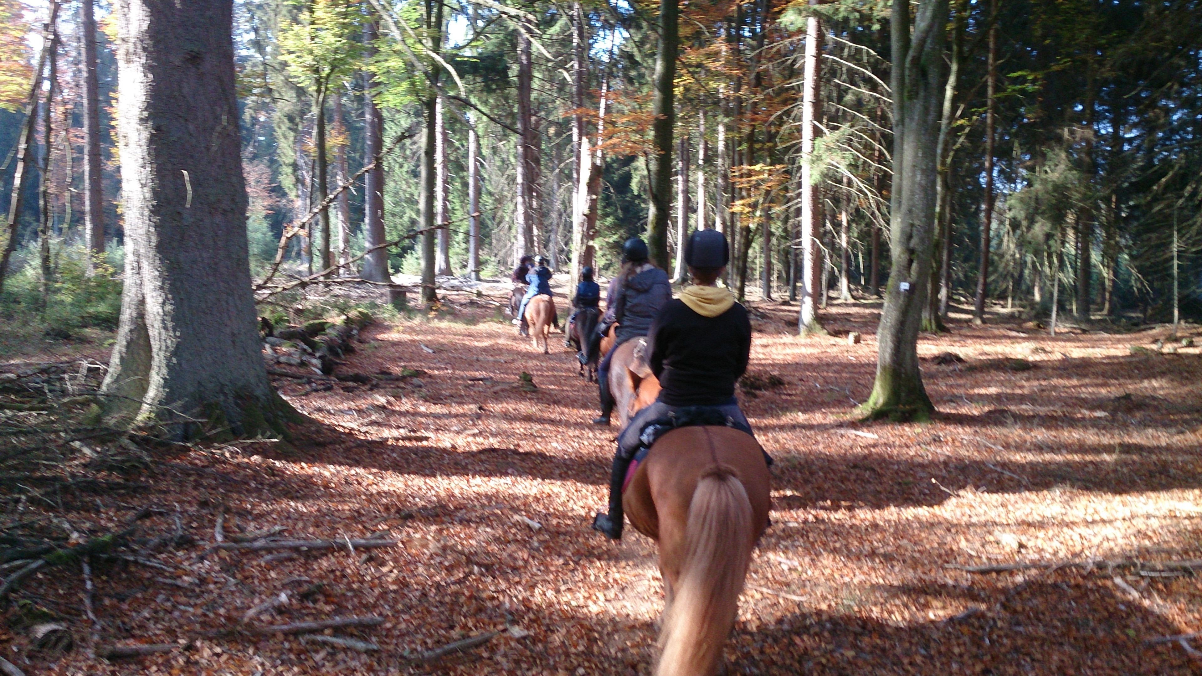 Gastehaus Burgwald Trekking