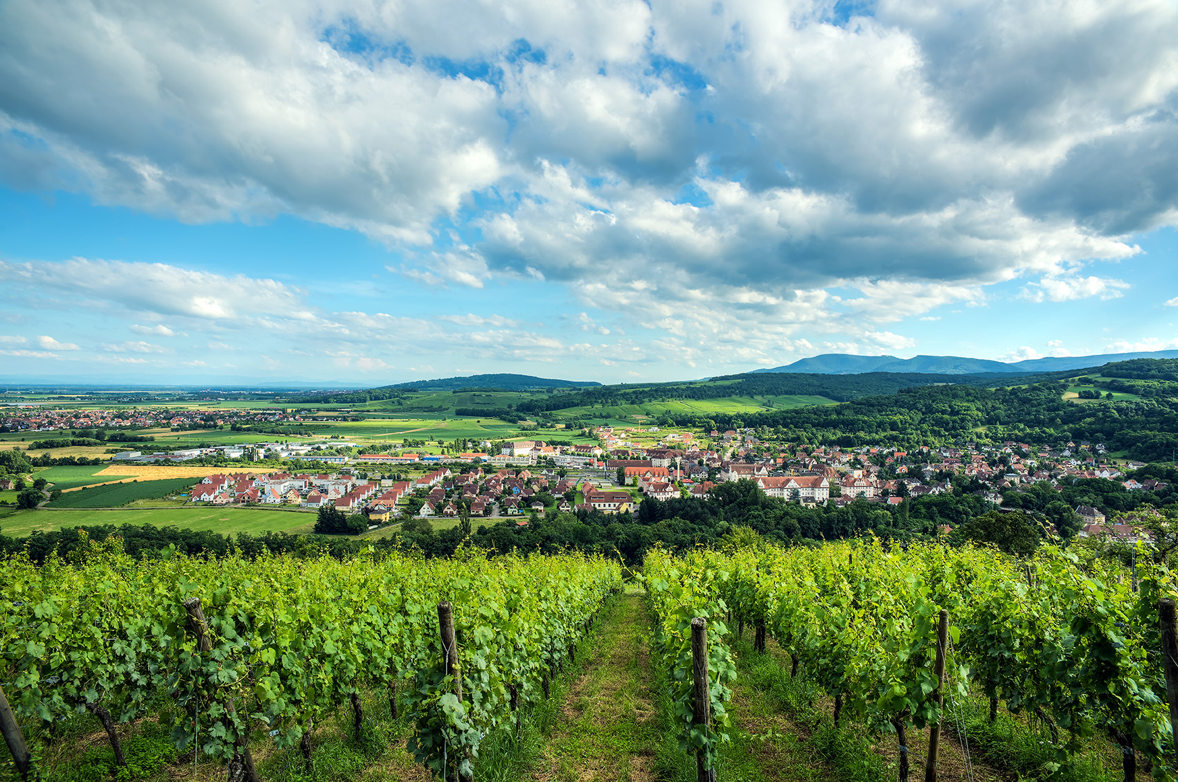 Comfort Aparthotel Mutzig Portes d'Alsace