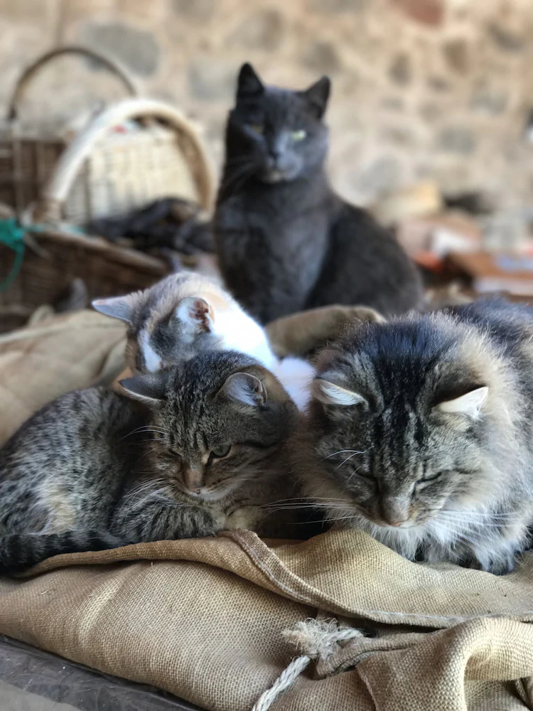 La Grange D’Hannah