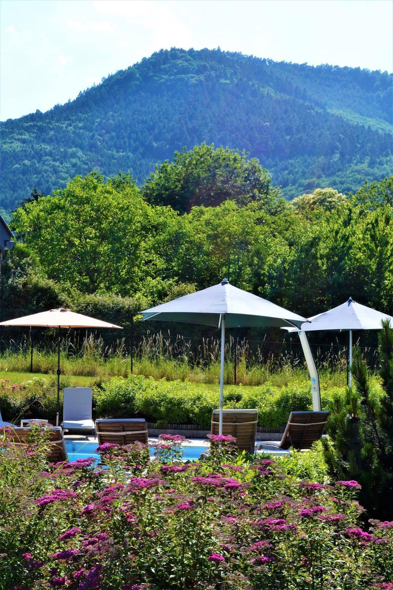 Hotel Aux Chants Des Oiseaux