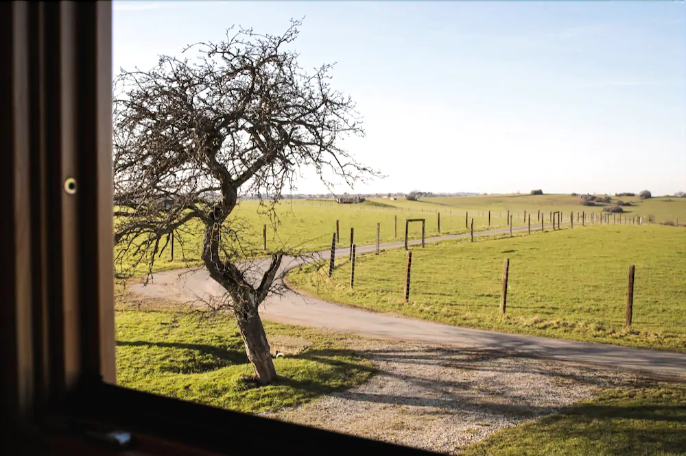 Le Ranch Des Bisons