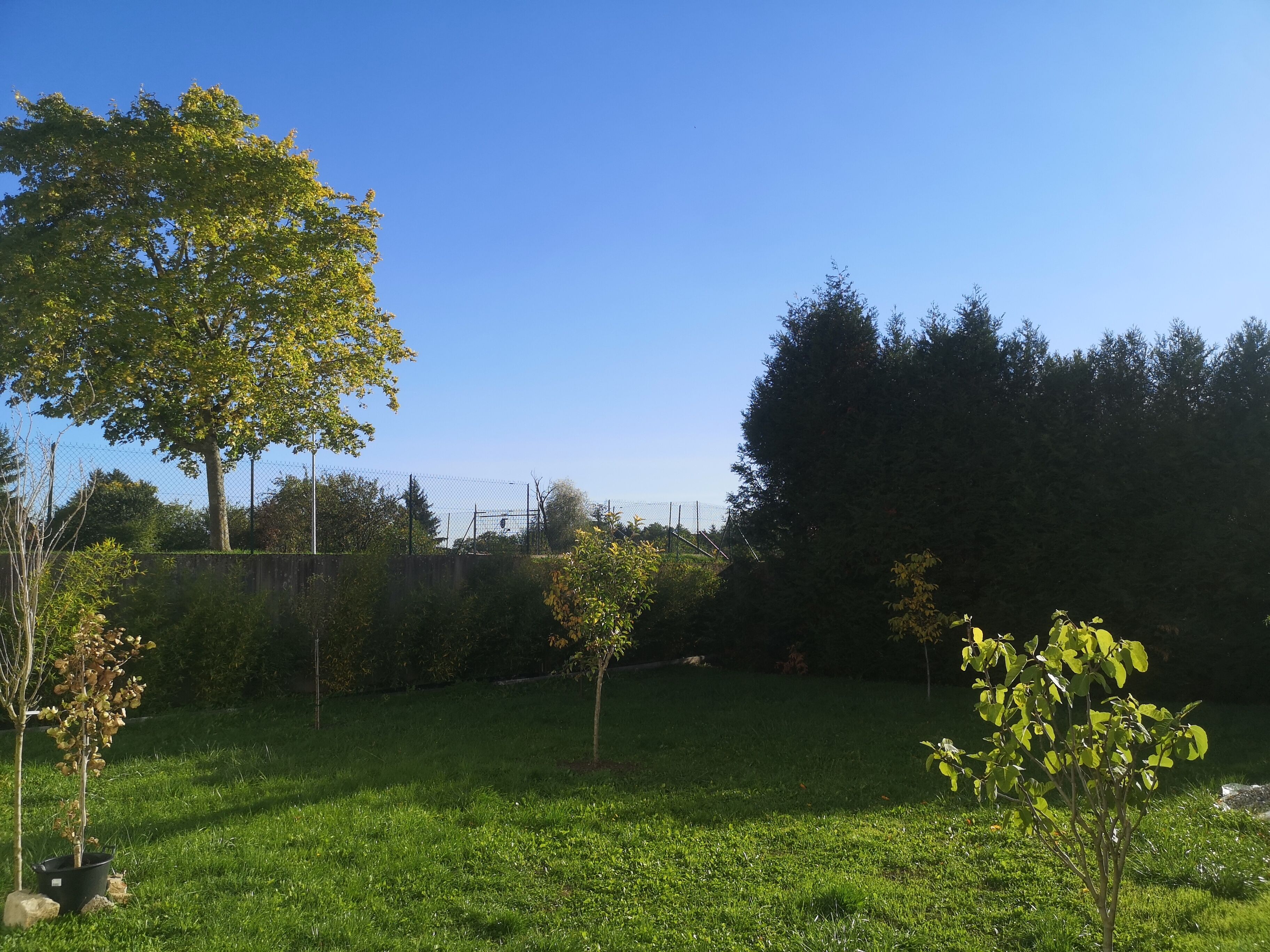 Private & Comfortable Apartments