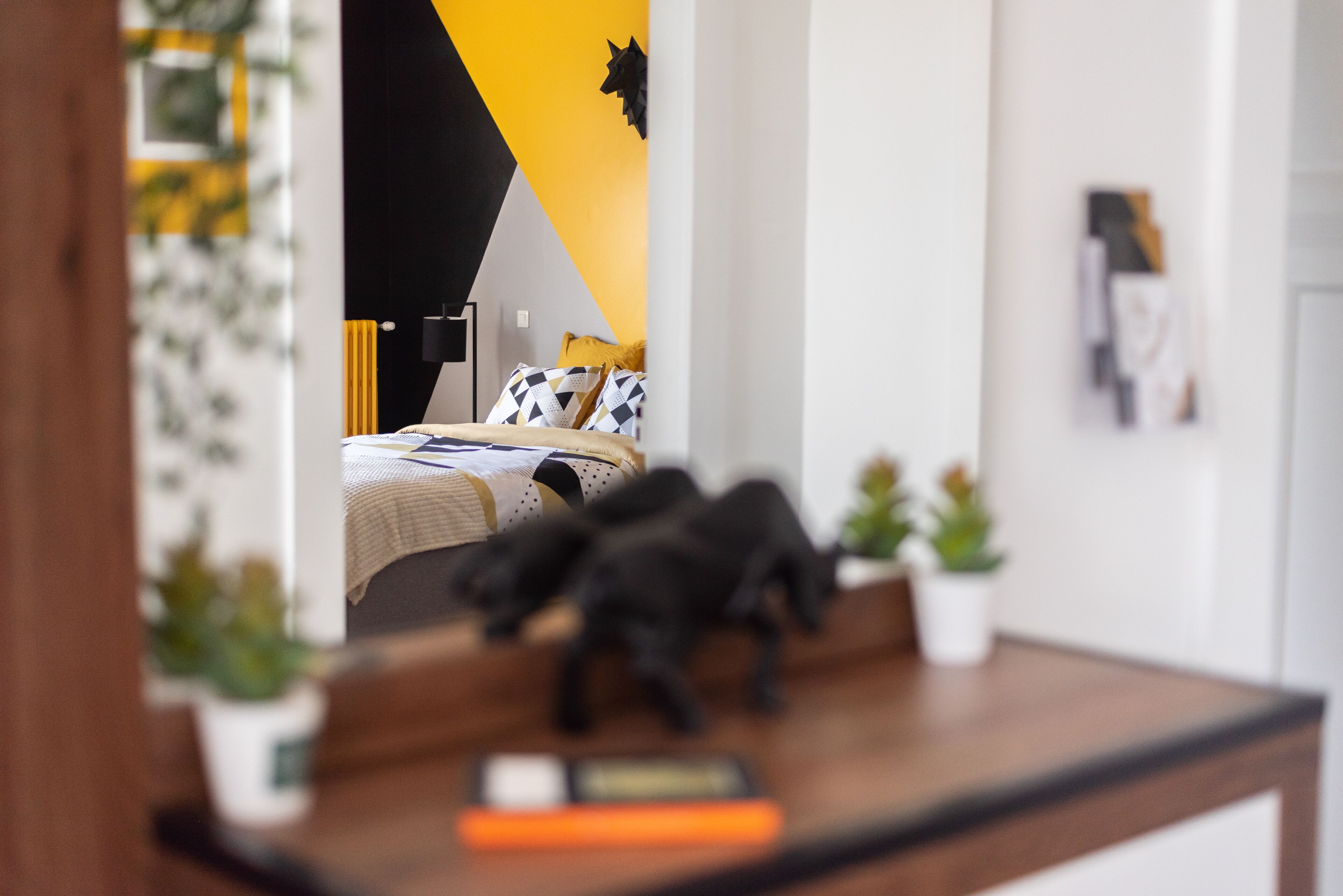 Private & Comfortable Apartments