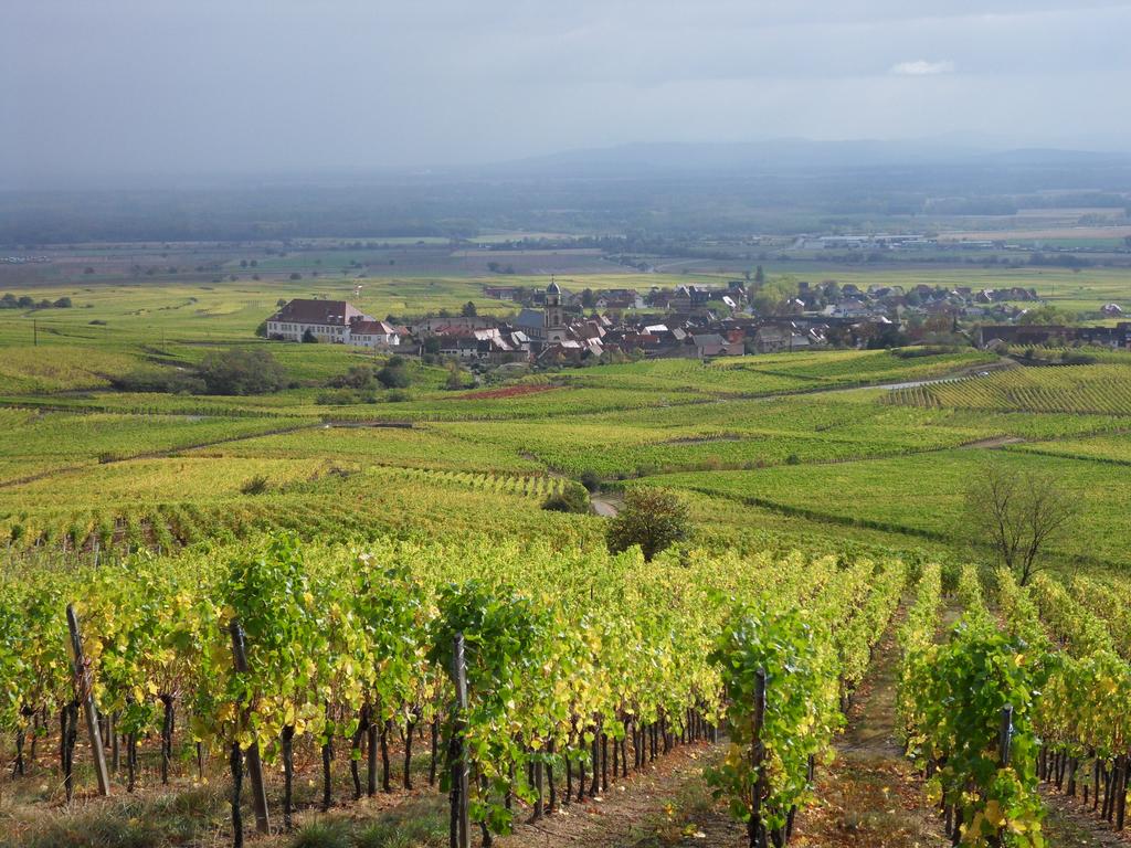 Hotel Val-Vignes Colmar-Haut Koenigsbourg
