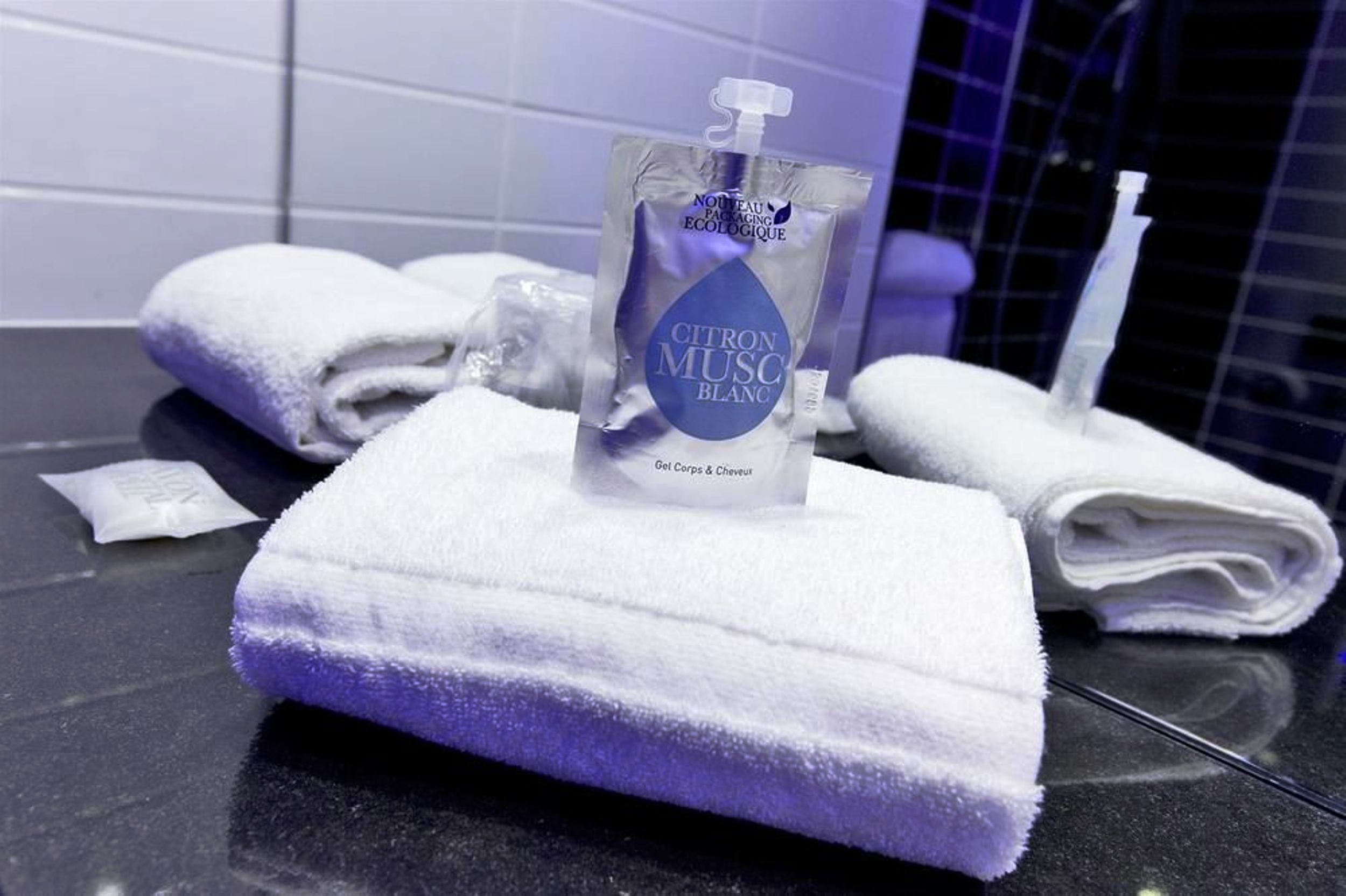 Holiday Inn Strasbourg Nord