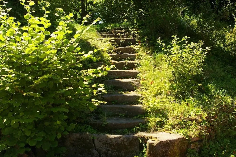 Gite Les Roseaux