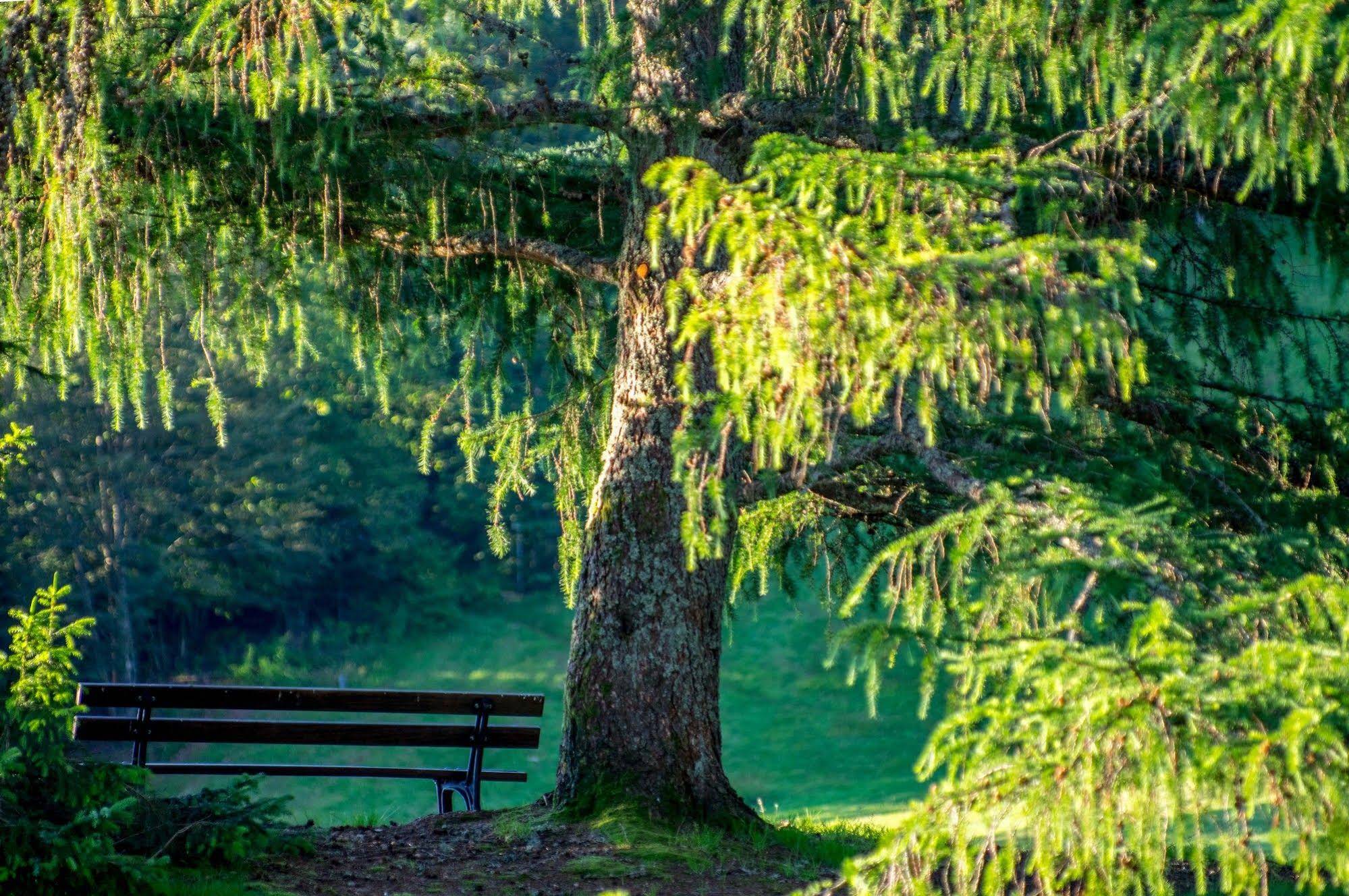 Relais du Silence Les Buttes
