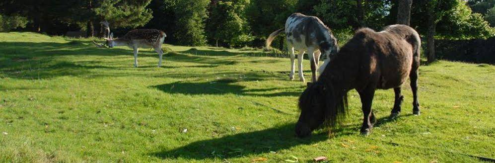 Les Jardins De Sophie