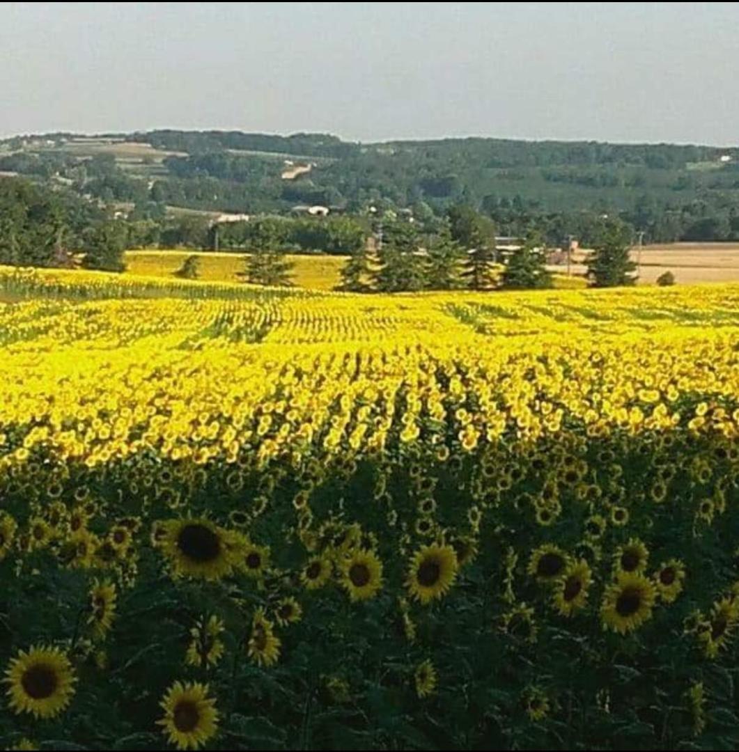 Le Domaine Du Rossignon