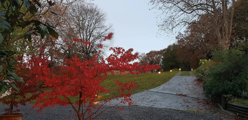 Bidachuna