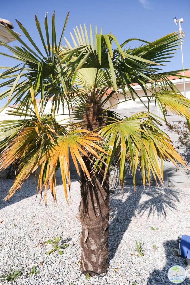 Biscarrosse Bourg Villa Avec Piscine