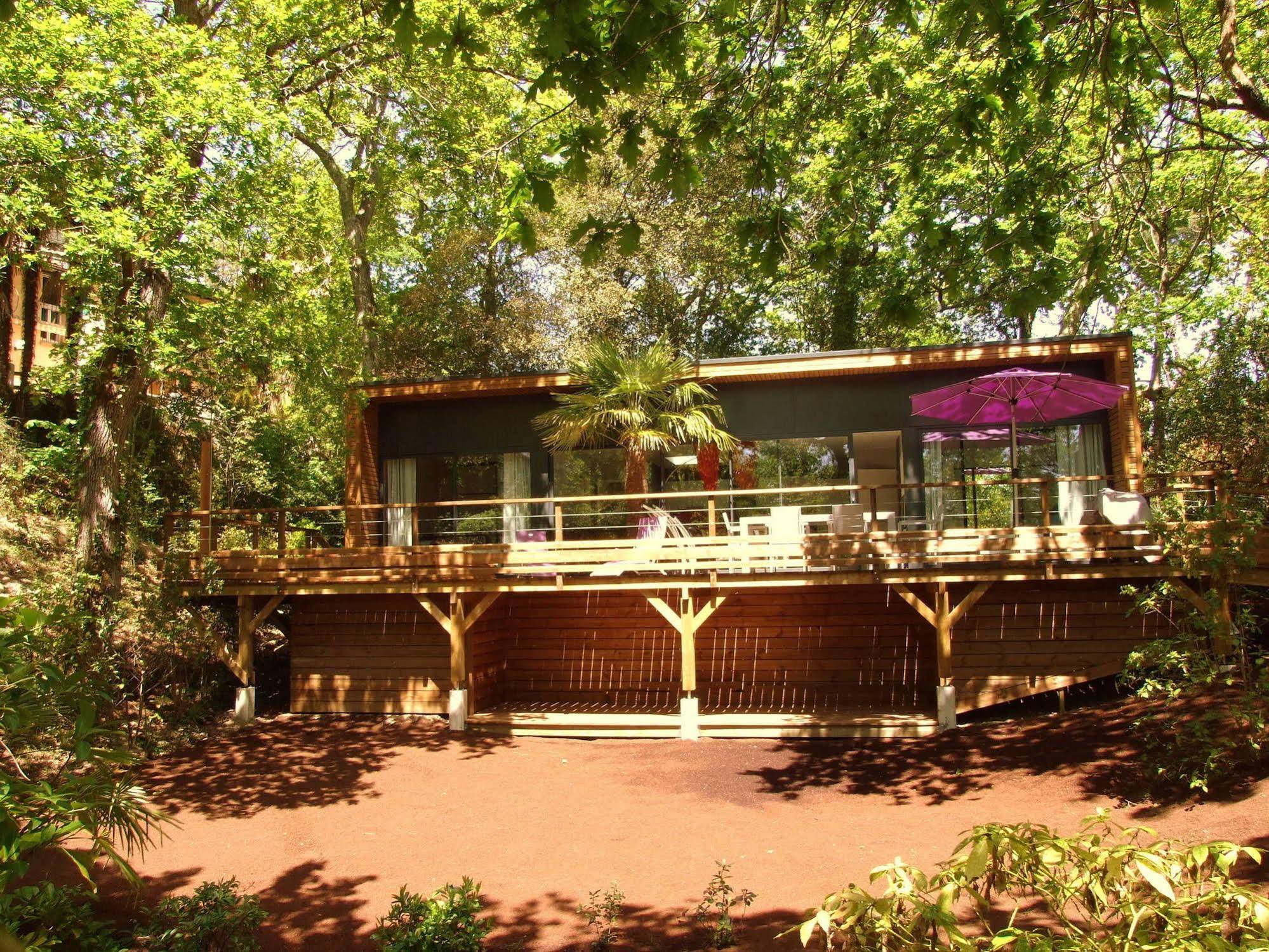L'Oasis