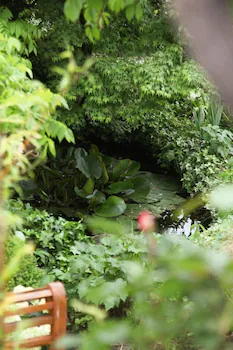 Au Jardin