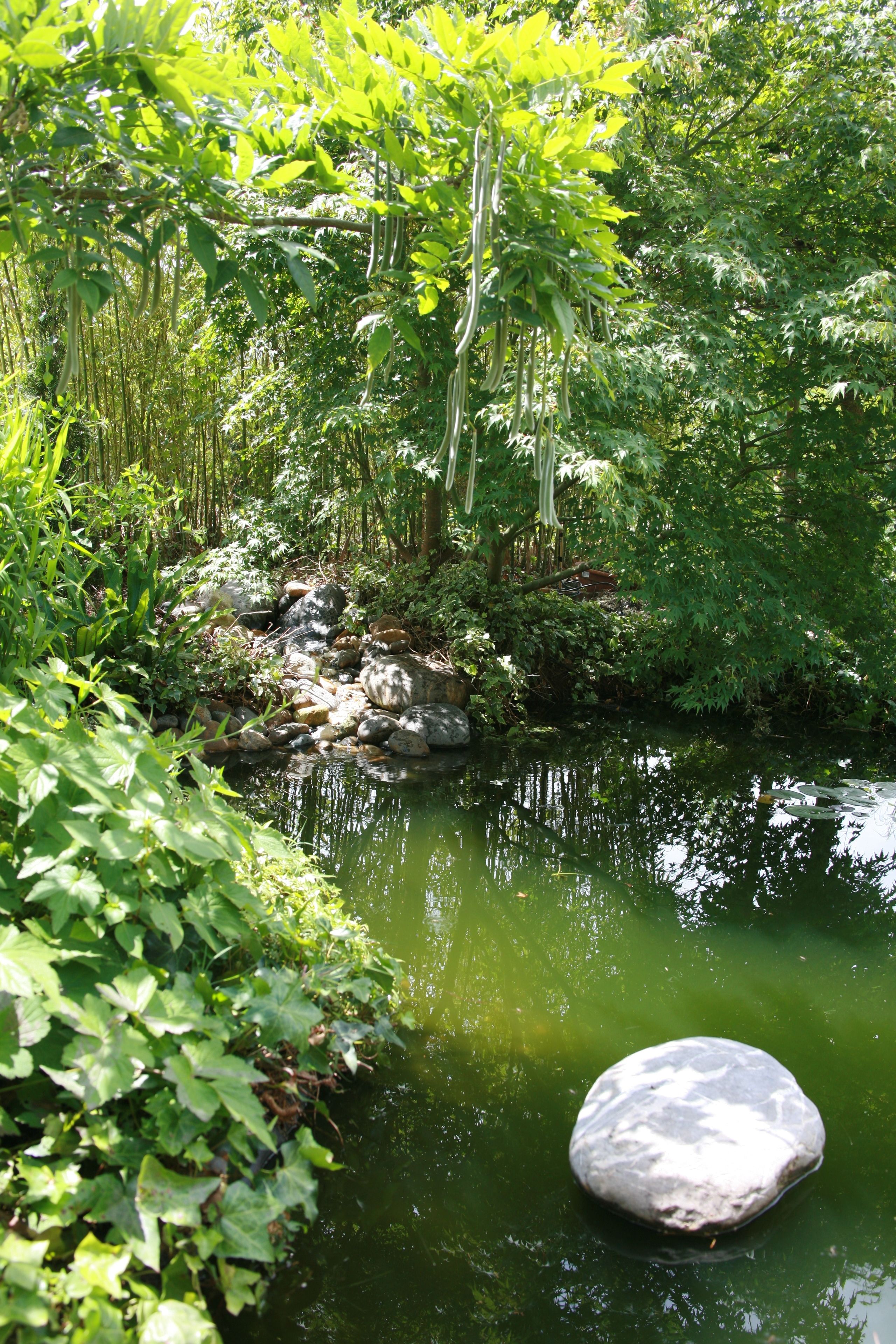 Au Jardin