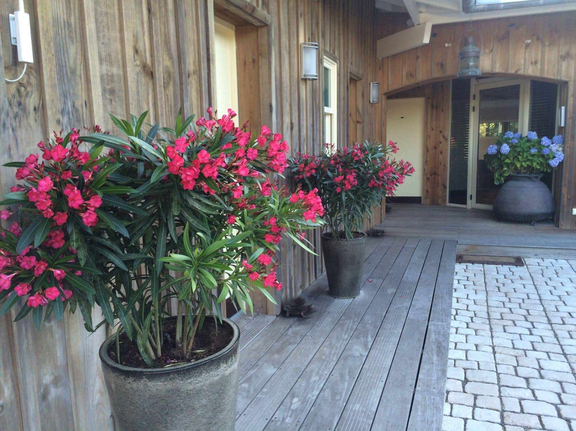 Hotel des Dunes