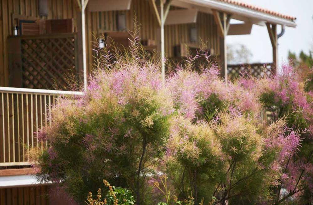 Hotel des Dunes