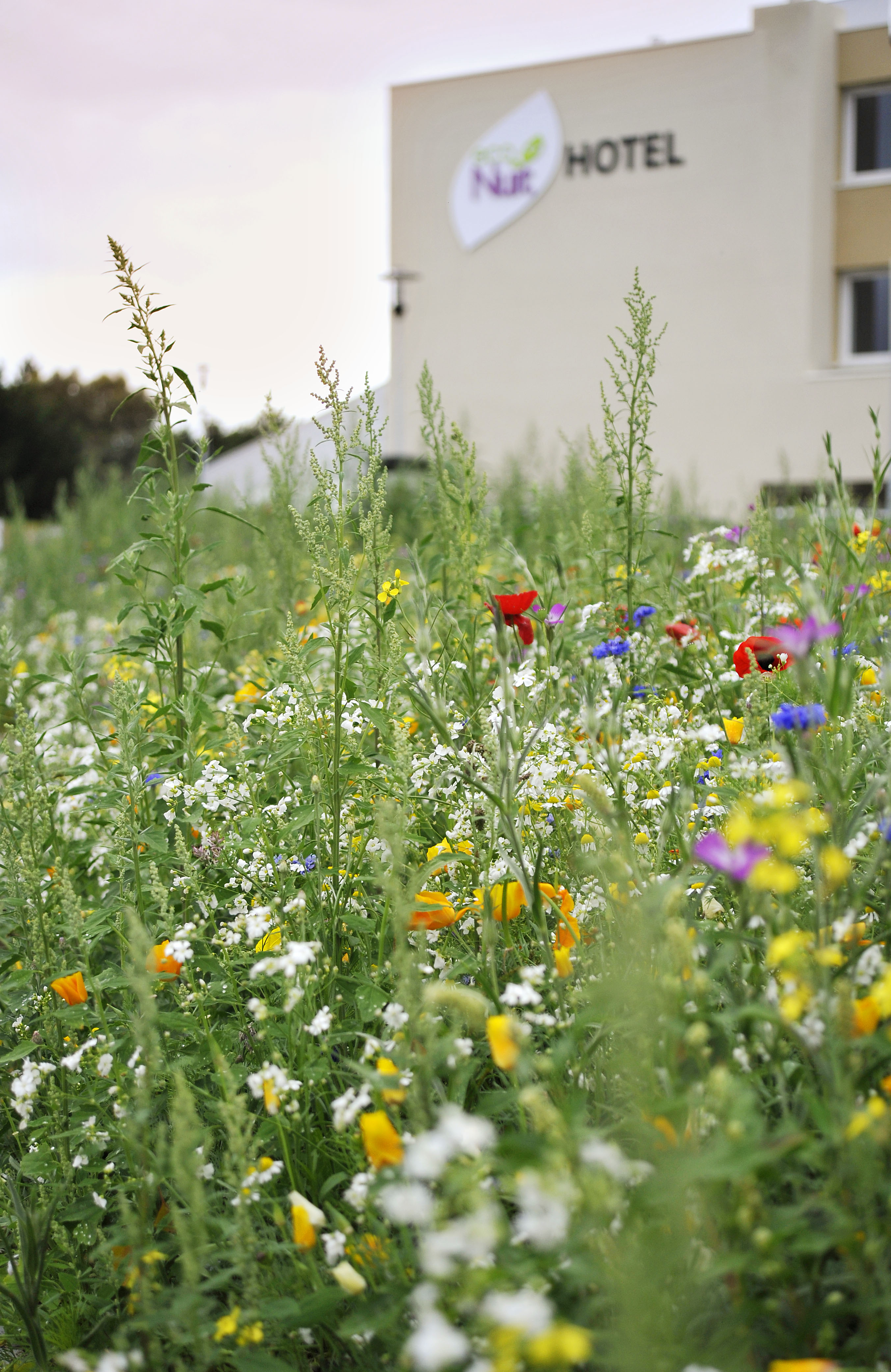 Sure Hotel By Best Western Guerande