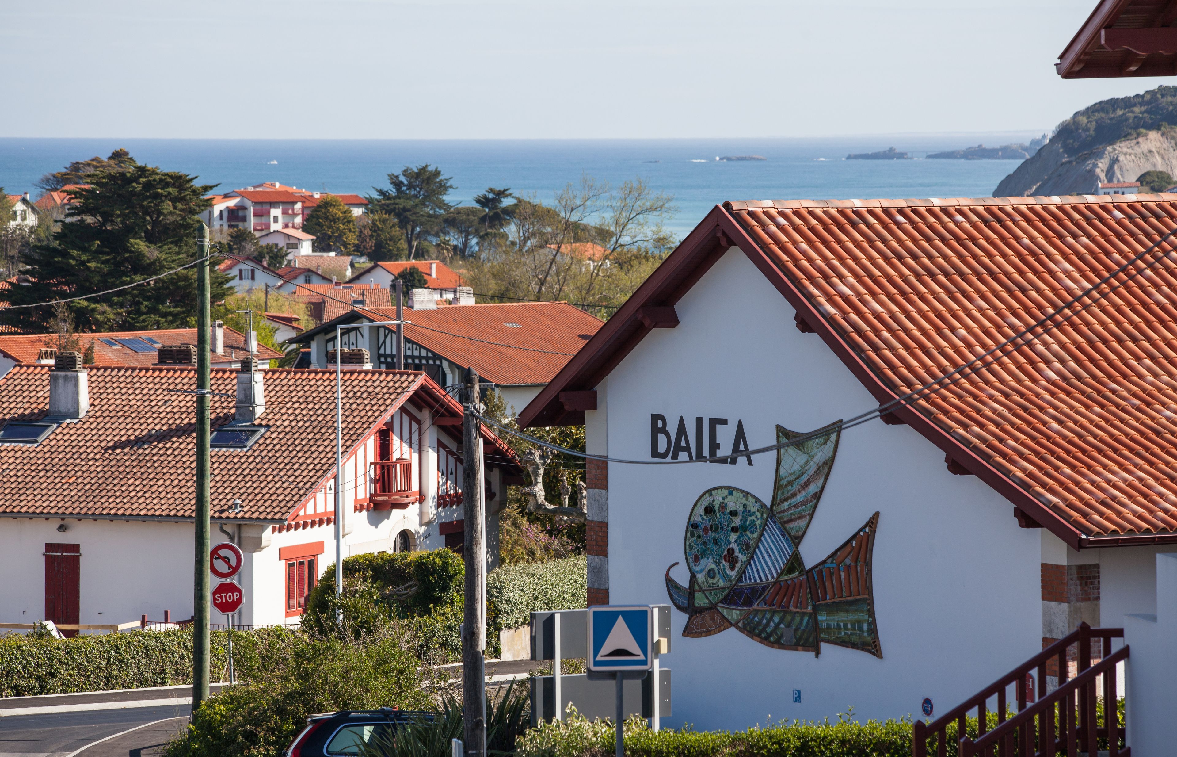 Hotel Balea