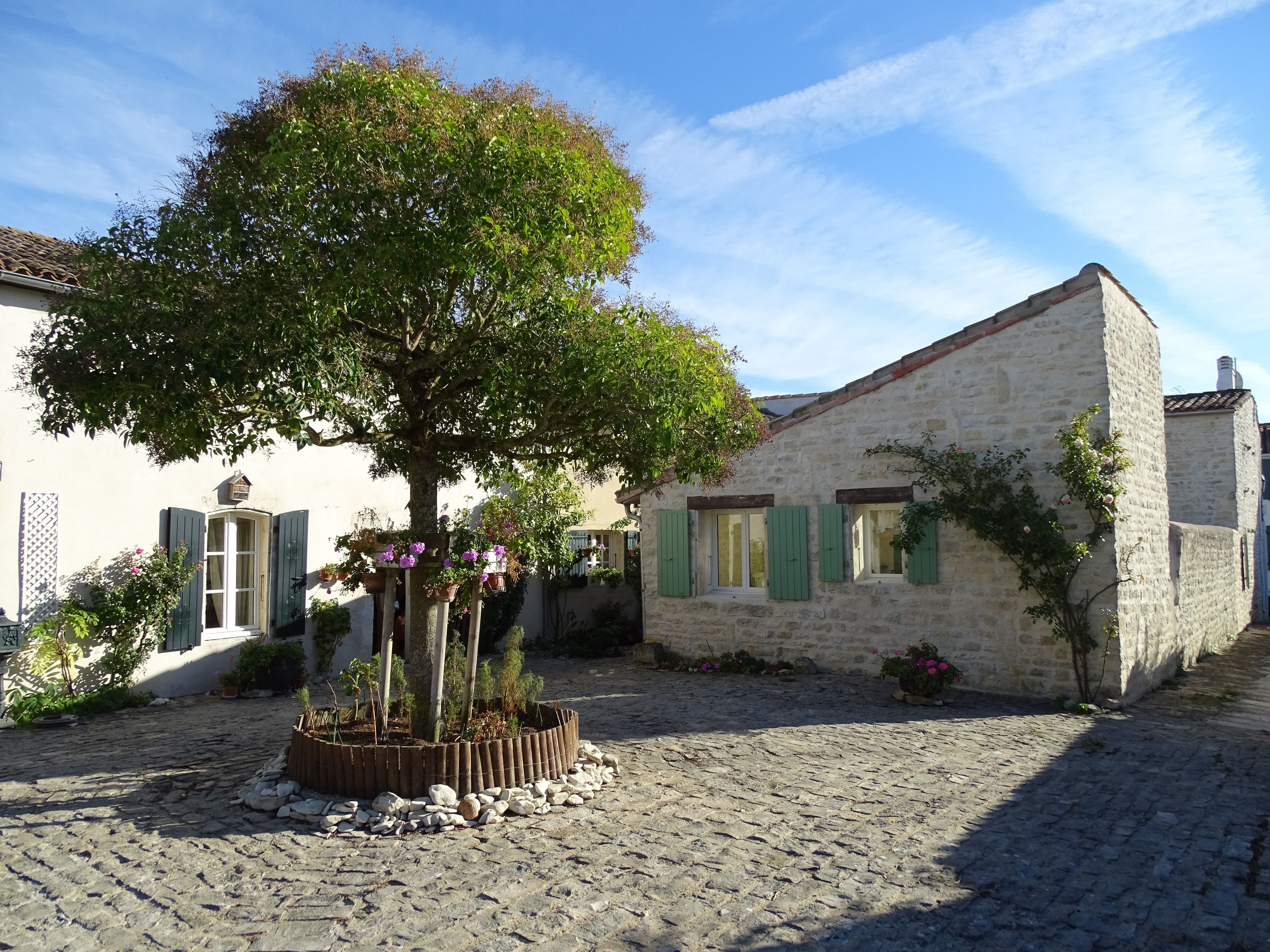 Maison Salicorne