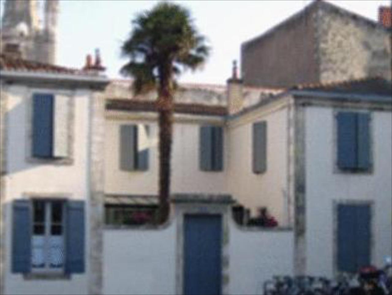 La Maison Du Palmier