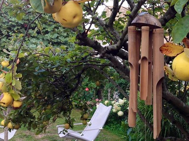Un Jardin Sur La Dune
