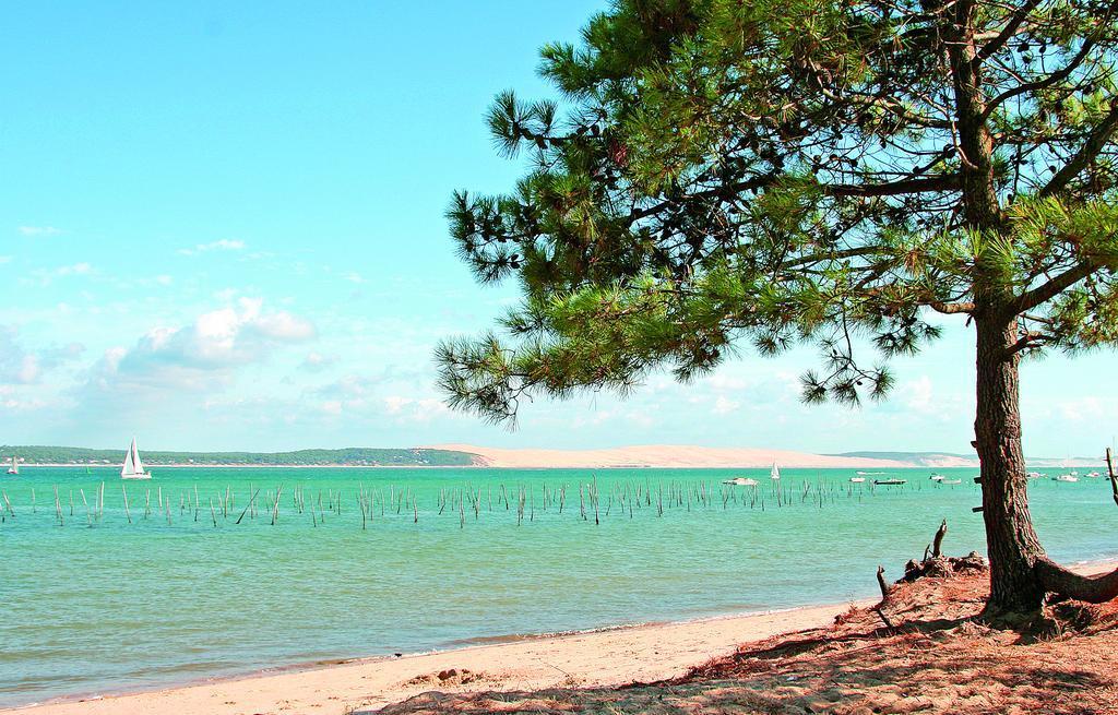 VVF Villages Lège-Cap-Ferret