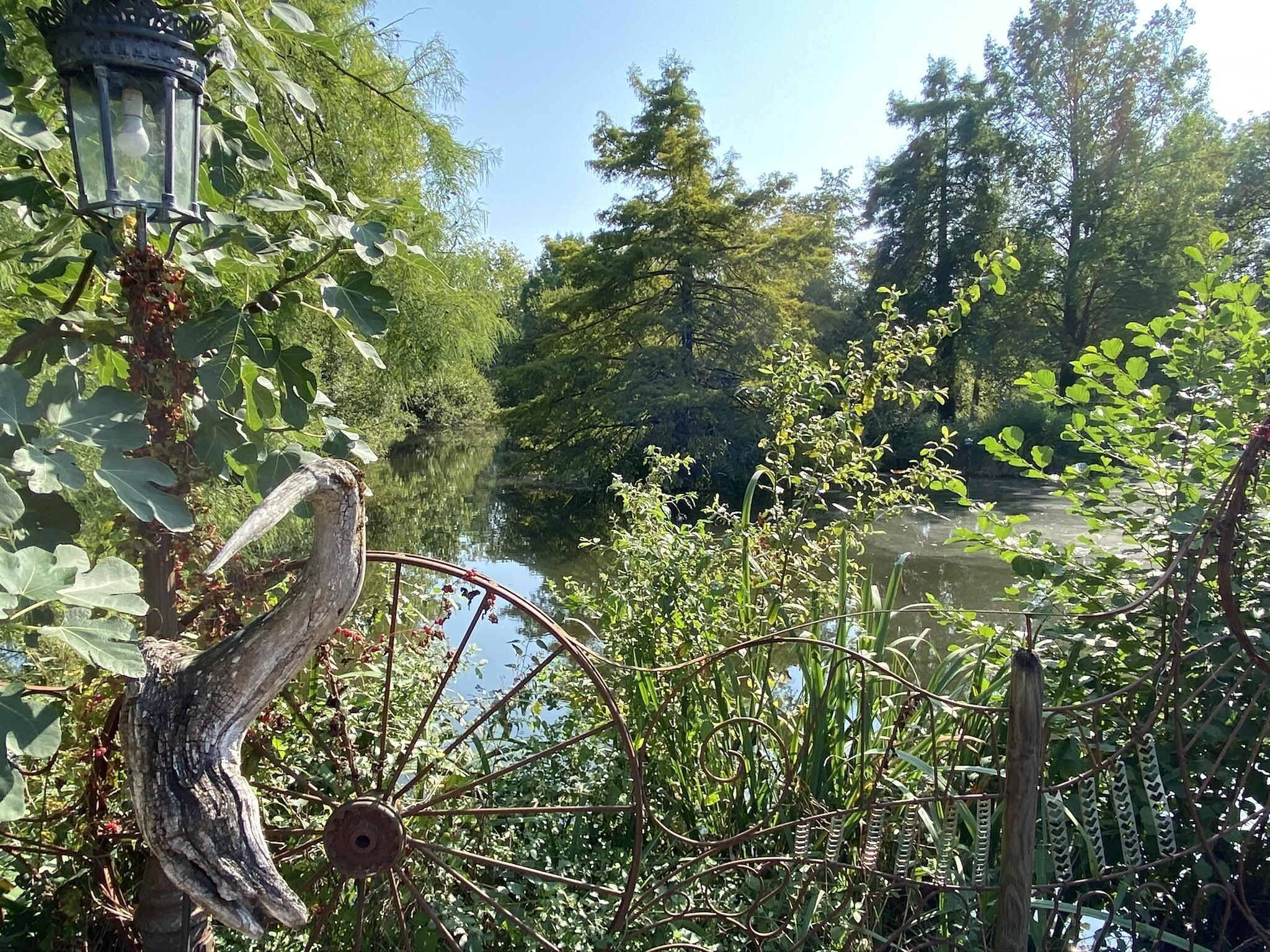 Entre Mer Et Foret