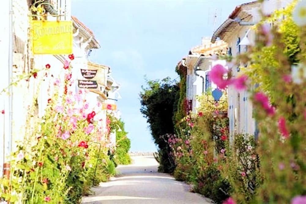 Appartement La Rochelle Sainte Soulle