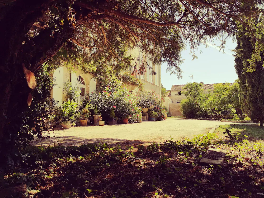 Domaine De Rochebonne