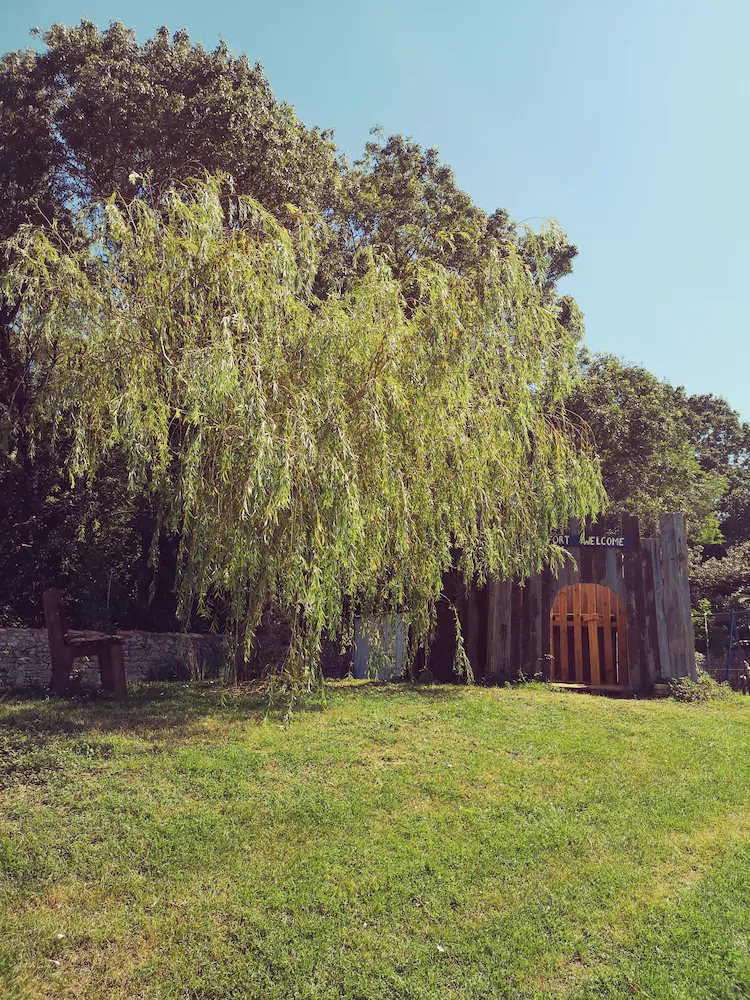 Domaine De Rochebonne
