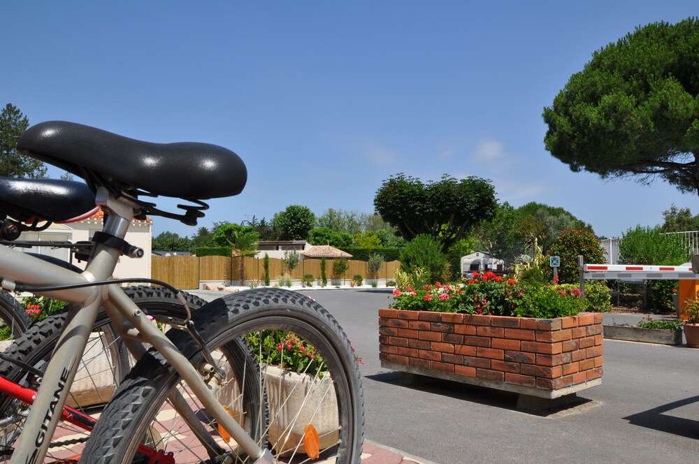 Camping Domaine Des Salins