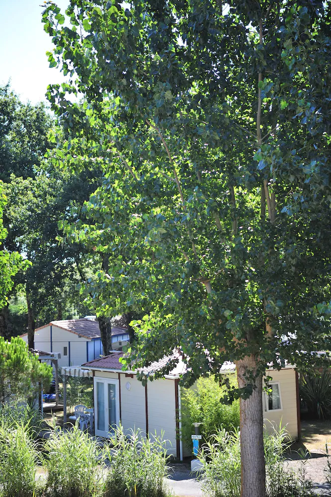 Camping Aqua 3 Masses
