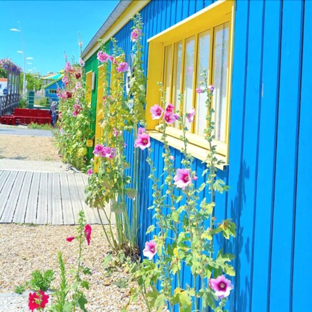 Camping Fleur D'Oleron