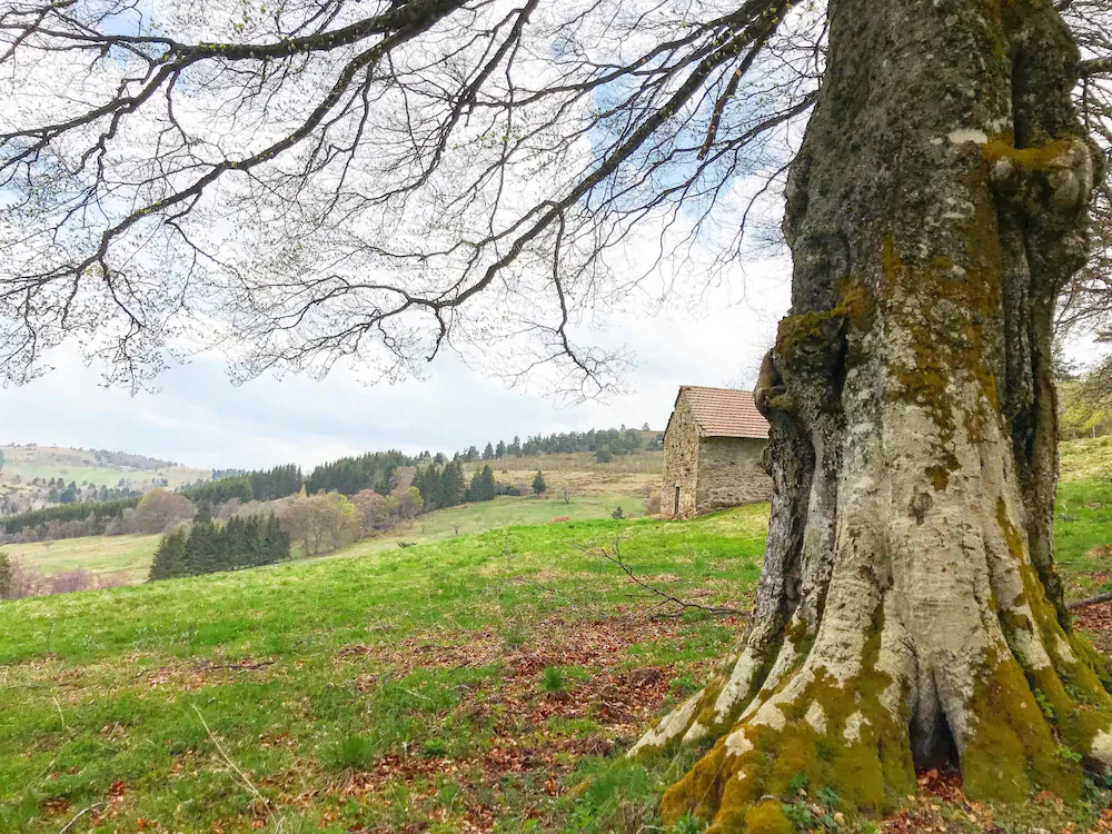 Eco Yourte Les Airelles D'Isabelle