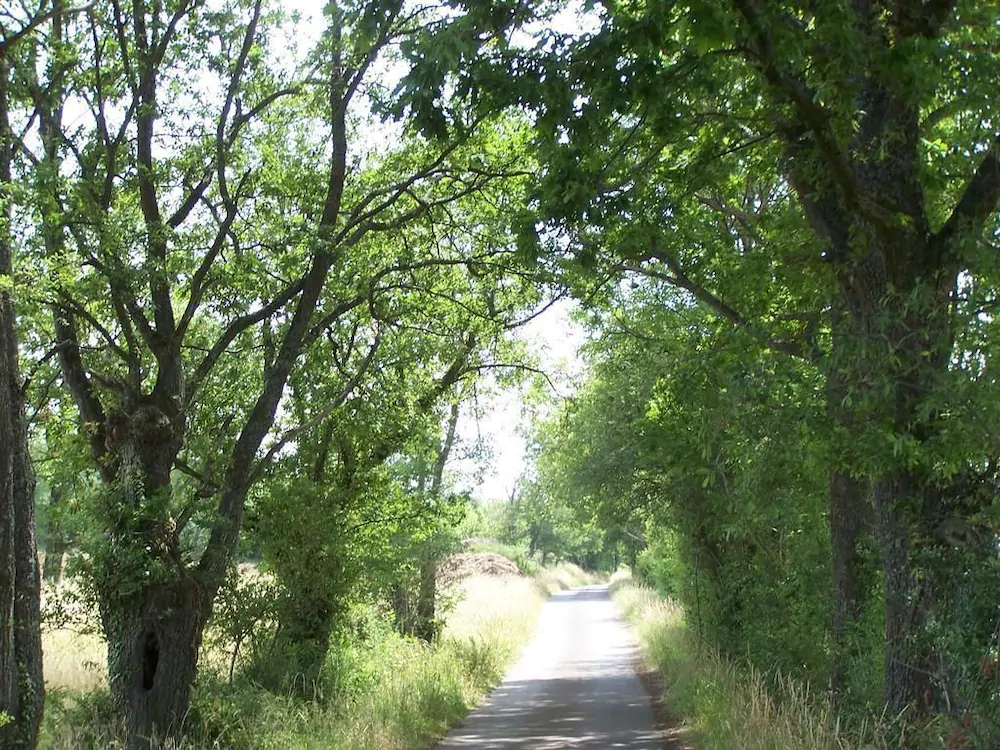 Gite Vacances En Auvergne