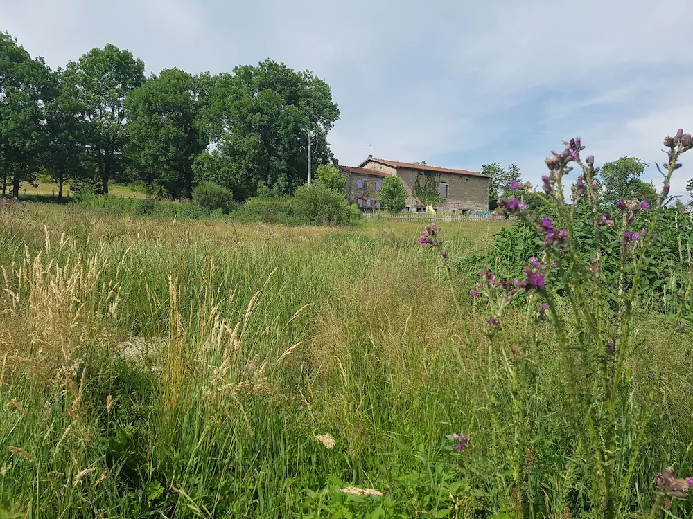 Domaine Des Pierres Davélie