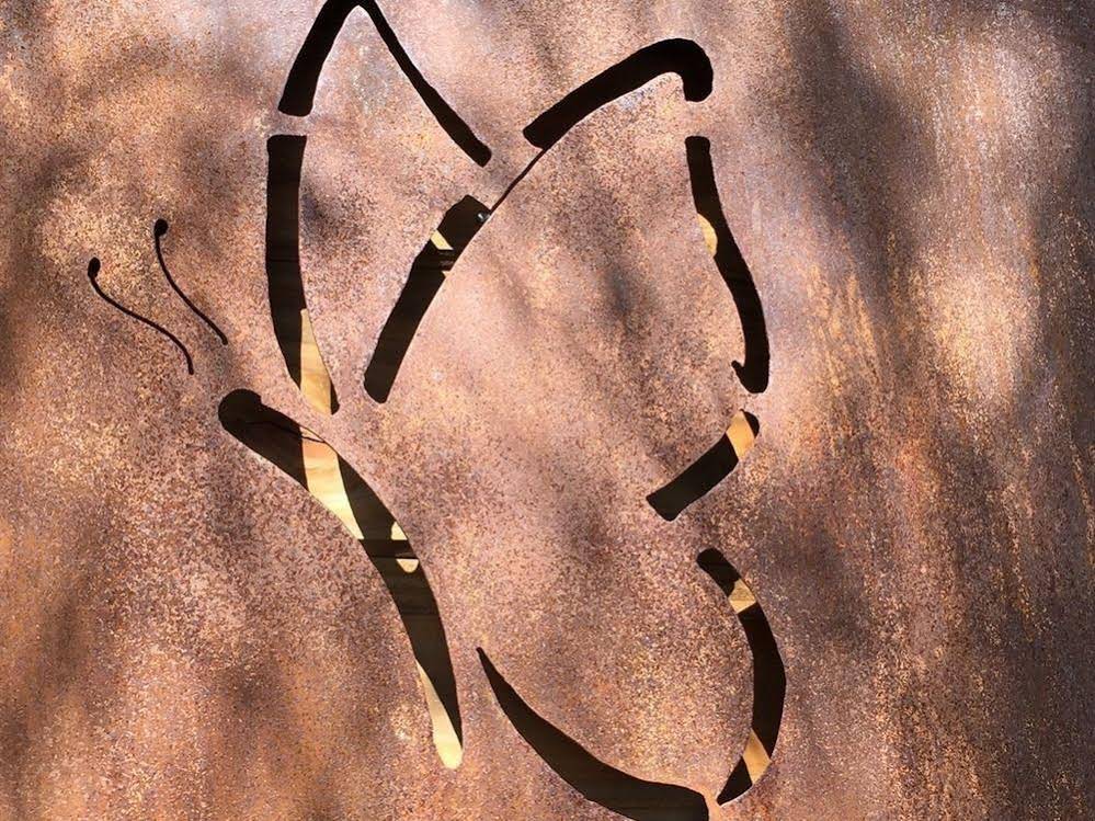 Ecogîte Les Papillons Des Sucs