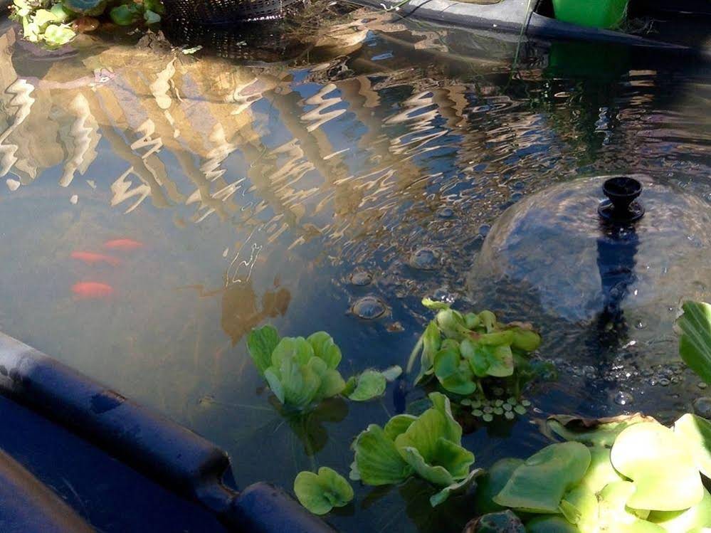 Ecogîte Les Papillons Des Sucs