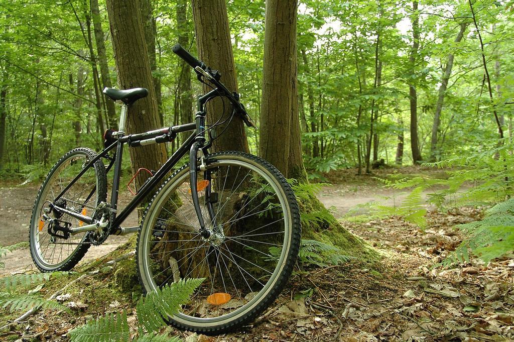 Hotel des Bains et Résidences