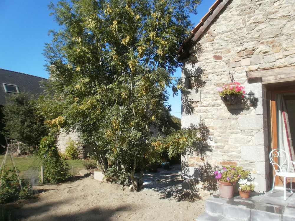 Gite Villeberry