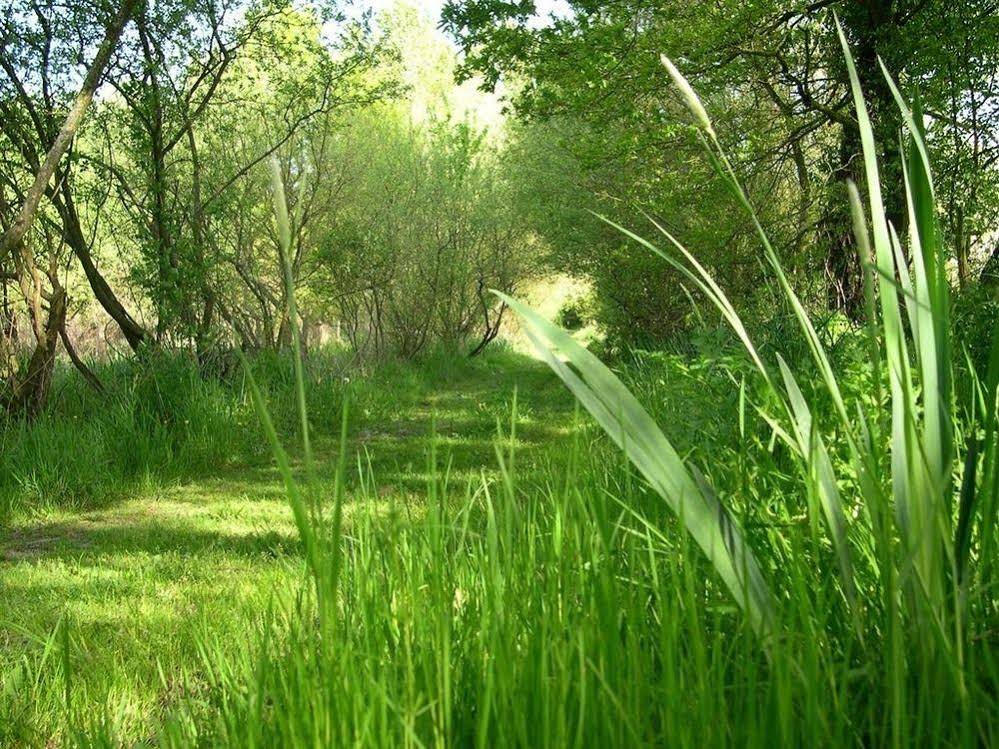 L'Hôt'Berge de Gannedel