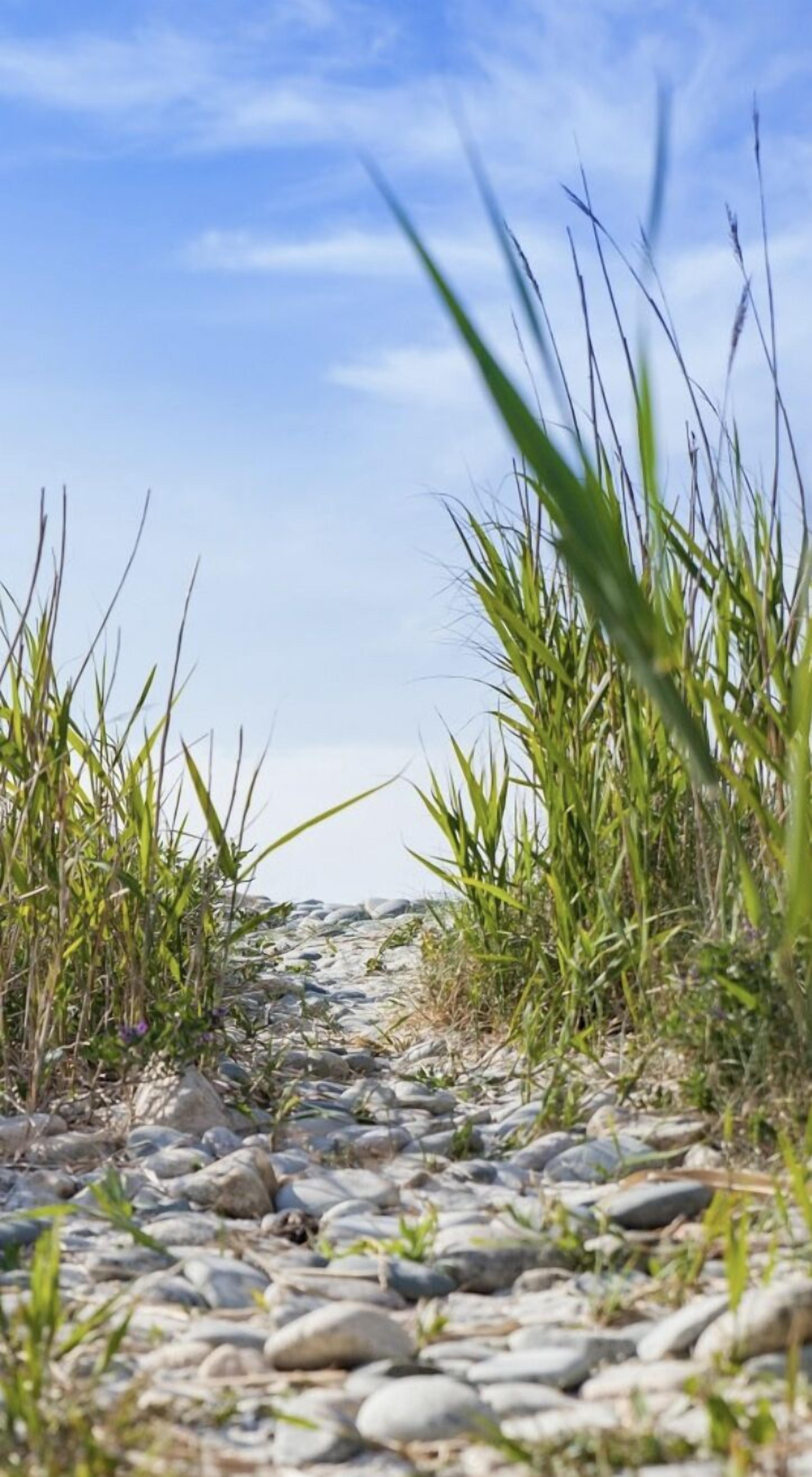Les Villas D'onalou Kergastel