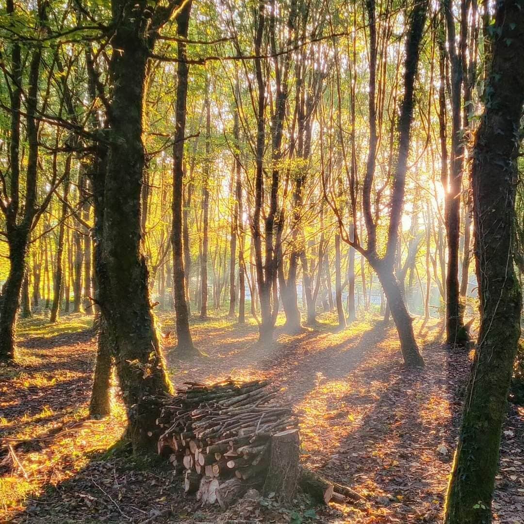 Le Domaine Insolite de Brocéliande