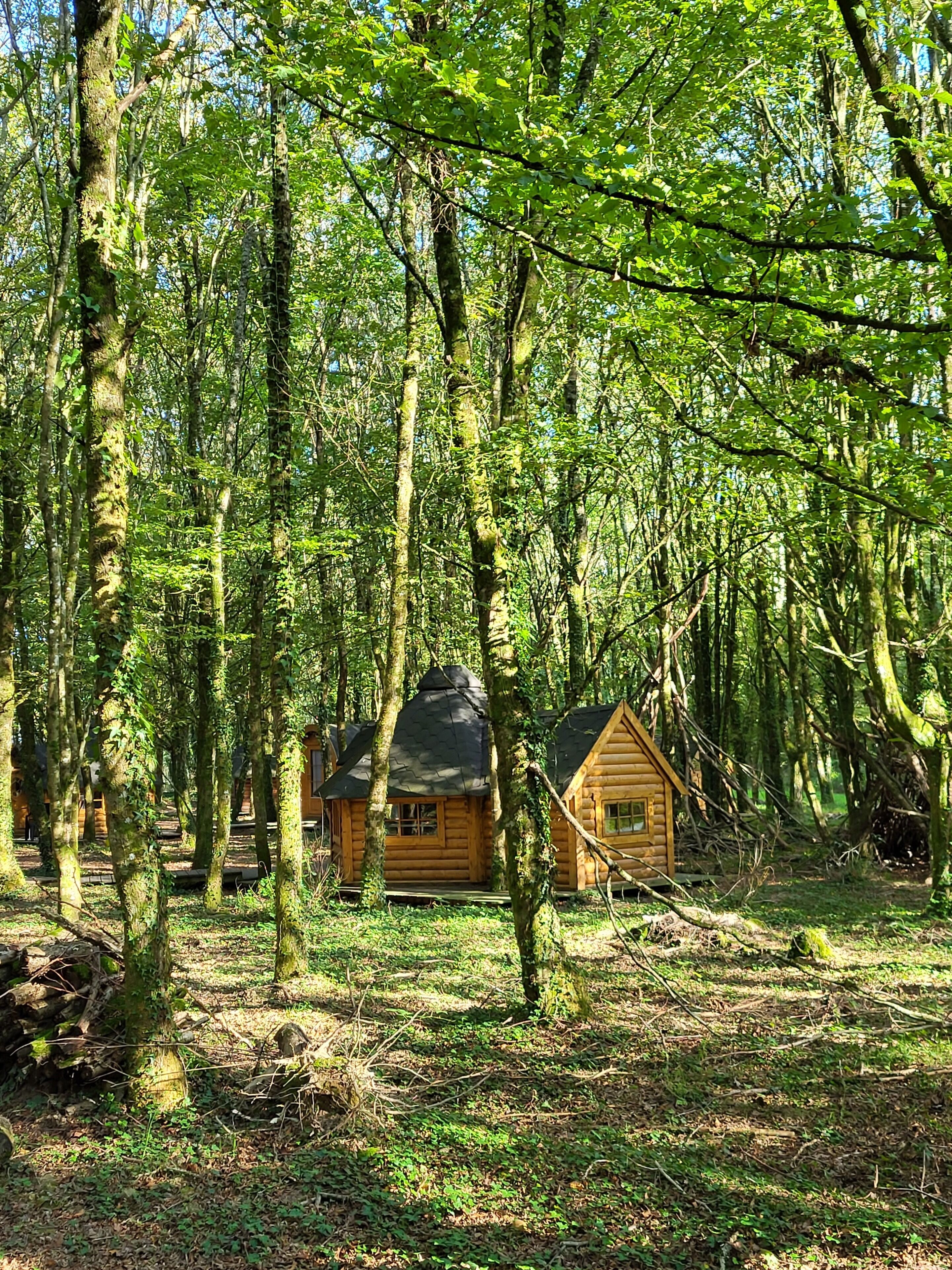 Le Domaine Insolite de Brocéliande